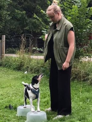 På begynder hold lægger vi grundstenen til at skabe det gode samarbejde.