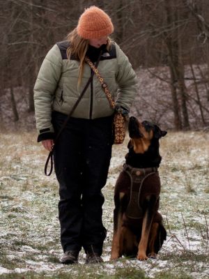 Fortsætterhold På fortsætterhold bygger videre på den gode træning.