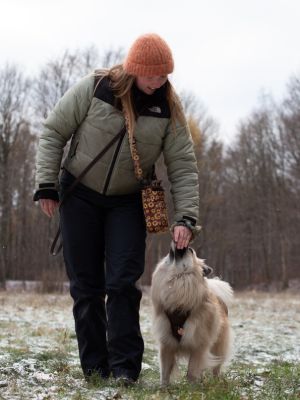 På gåturshold lærer vi at gå pænt i snor