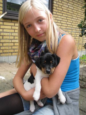 Hvalpehold for den nye familiehund