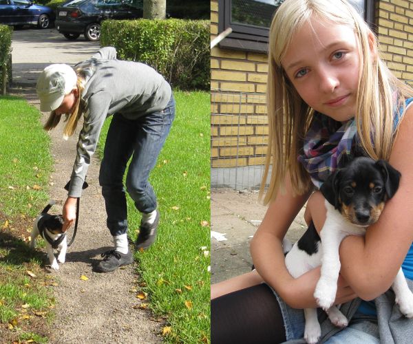 Om-Rikke-Roed-Hundetræning-den-første-hund Rikke på 12 år træner med hendes første hund Billy