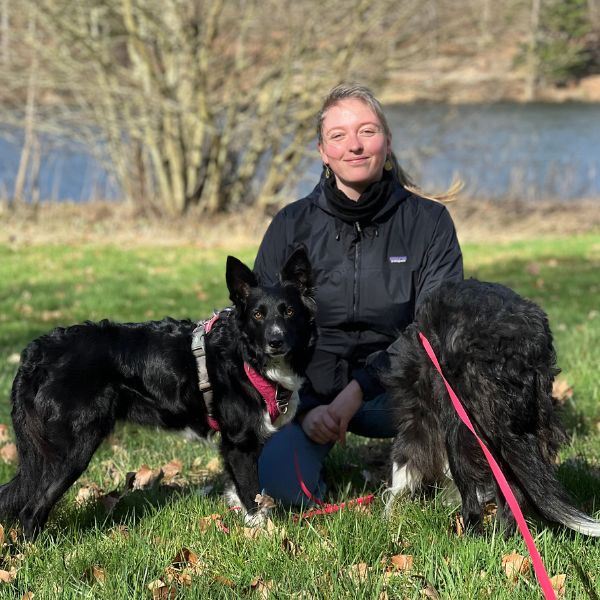 Hundeluftning af familiehunden