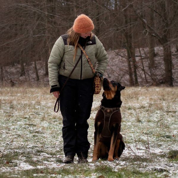 Hundetræning af alle typer af familiehunde