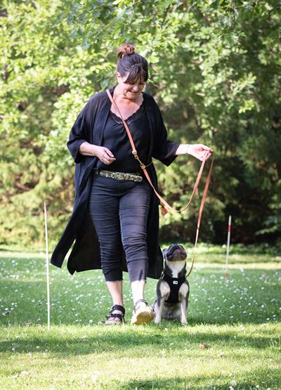 Ejer og hund til træning hos Rikke Roed Hundetræning Ejer og hund til træning hos Rikke Roed Hundetræning